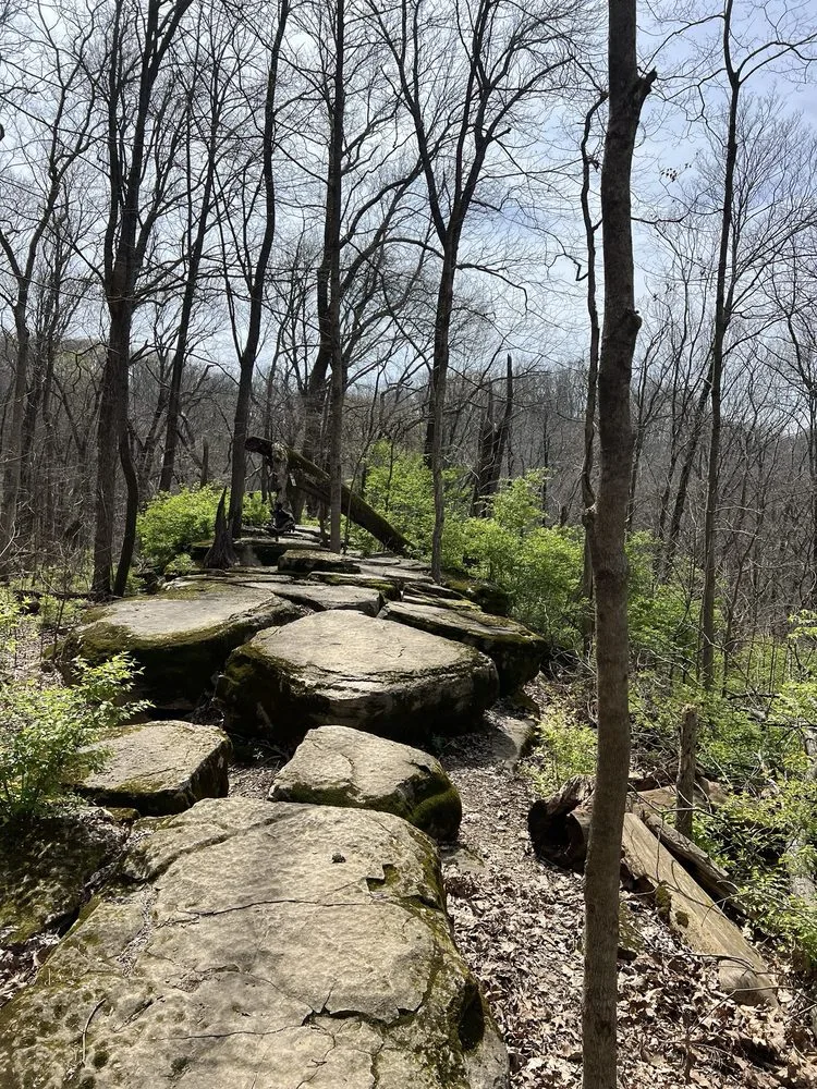 Adventureworks Zipline Forest at Fontanel image