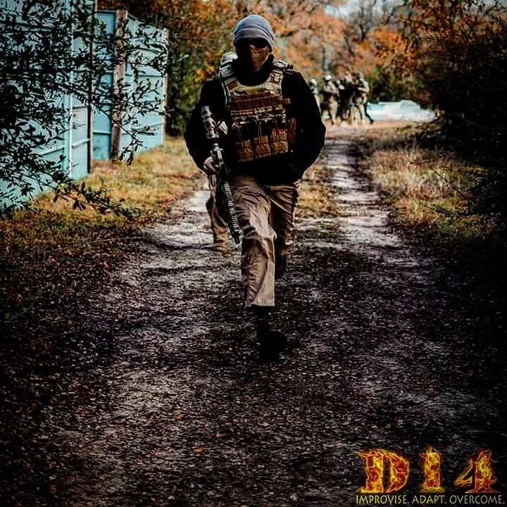 D14 Airsoft image