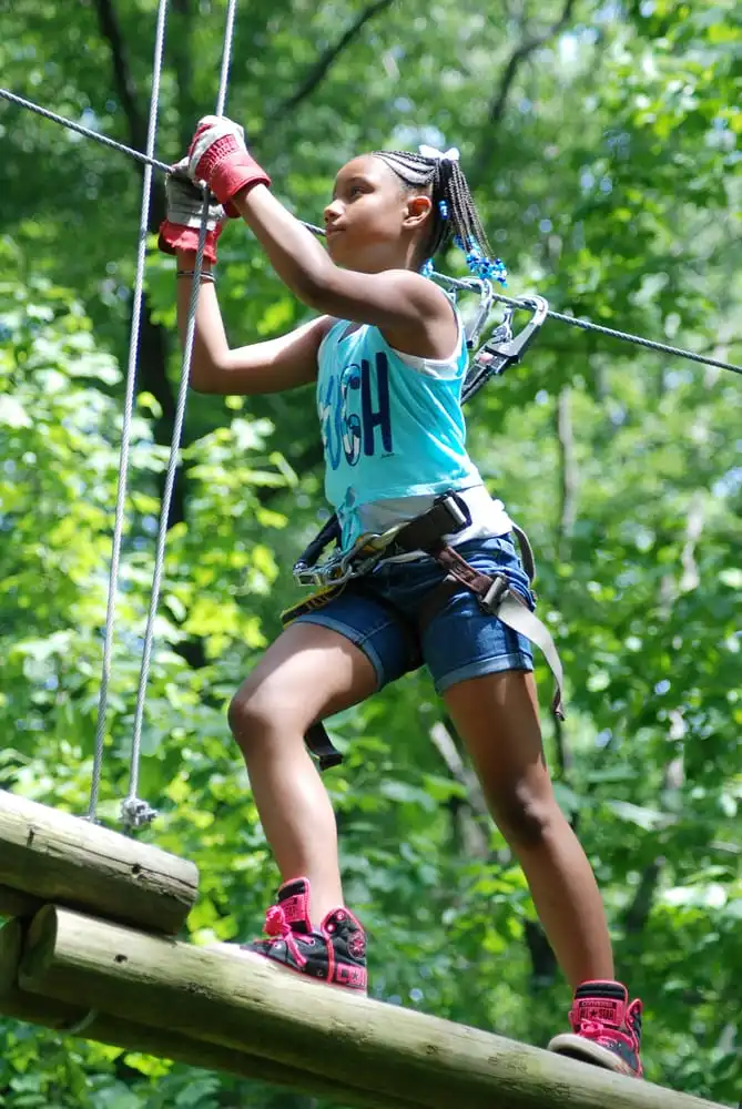 The Adventure Park At Heritage Museums & Gardens image