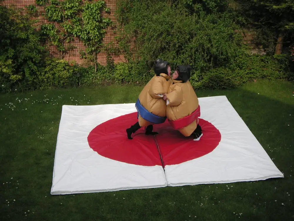 Sumo Experience image