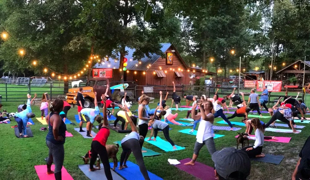 Goat Yoga Georgia image