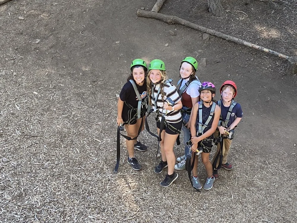 Tahoe Vista Treetop Adventure Park image