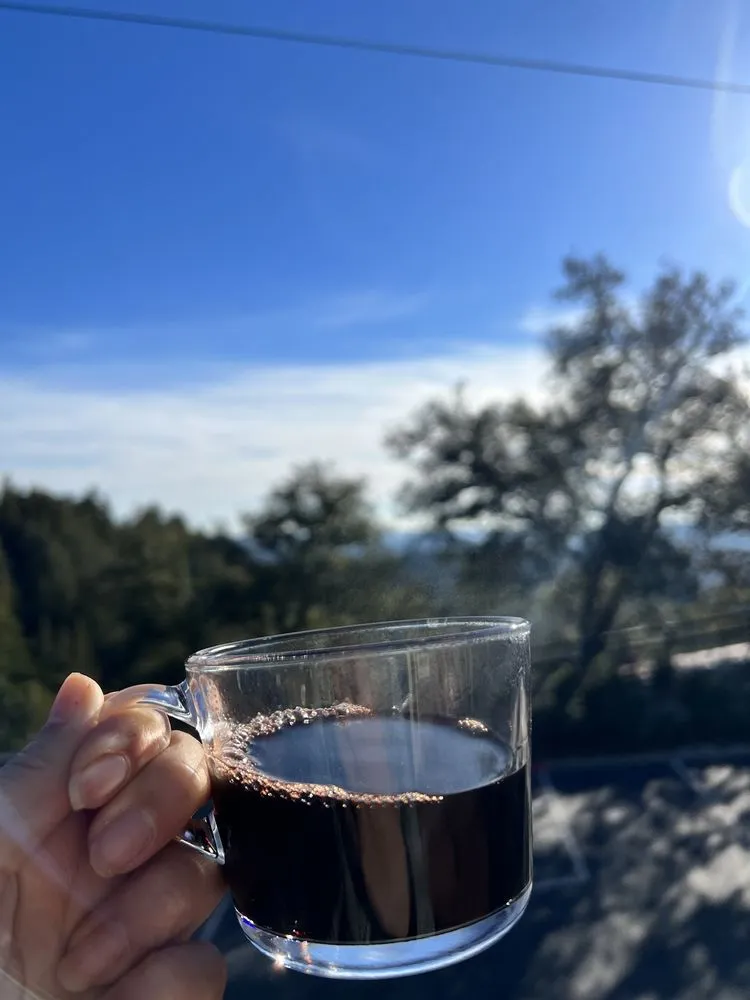 Byington Vineyard & Winery image