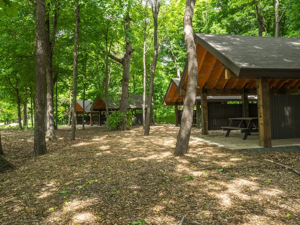 Camp Fire Minnesota image