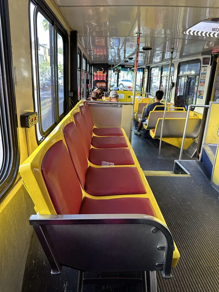Starline Tours image