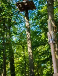 The Adventure Park At Heritage Museums & Gardens