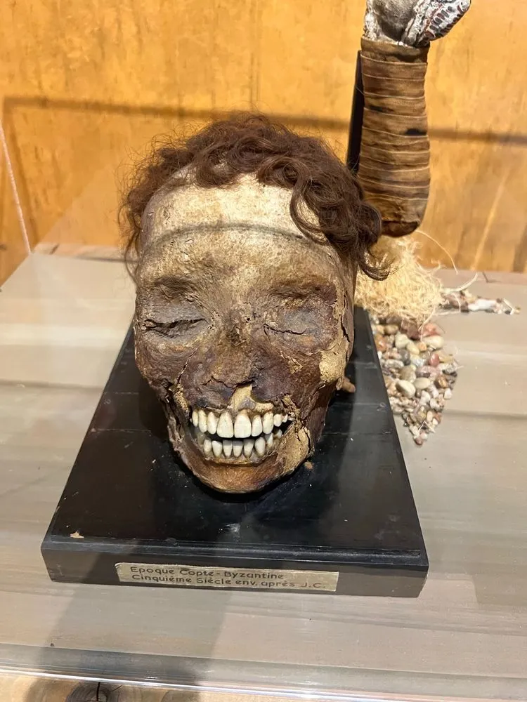 Ripley's Believe It or Not! image