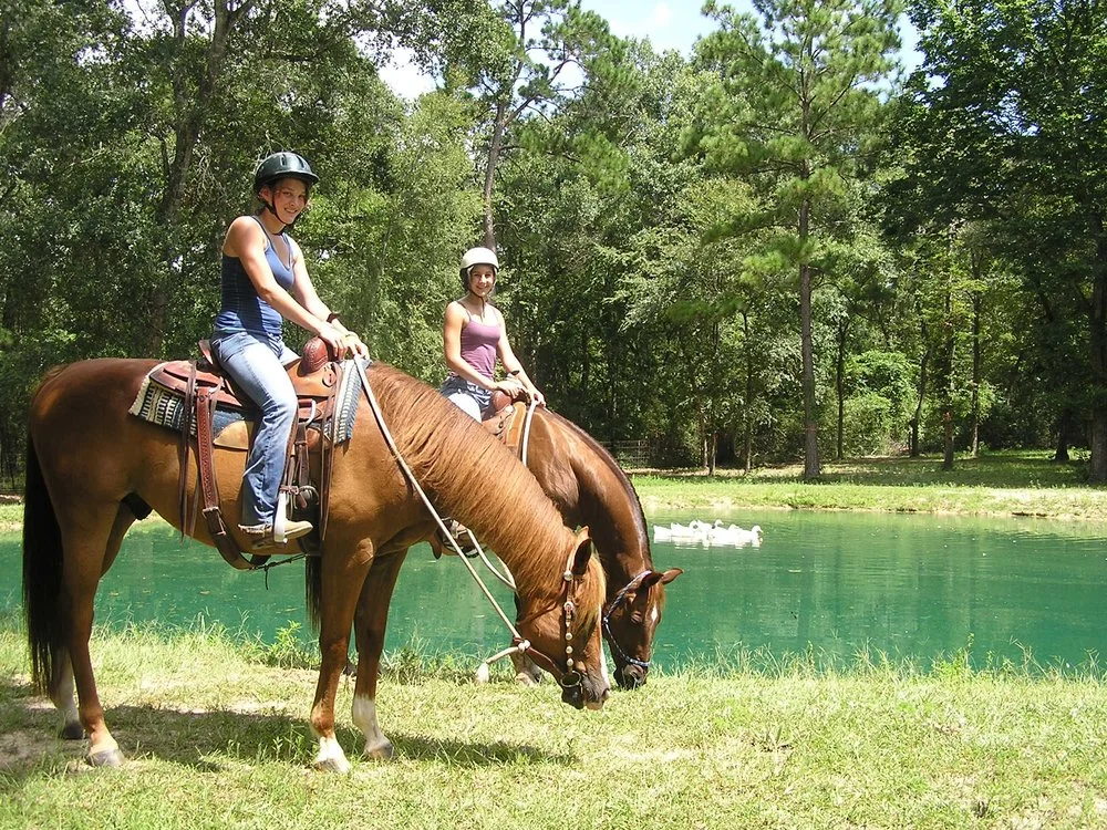 Sugarfoot Jog Ranch image