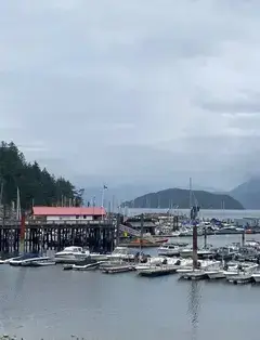 Sewell's Marina