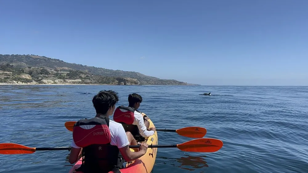 Palos Verdes Ocean Sports logo