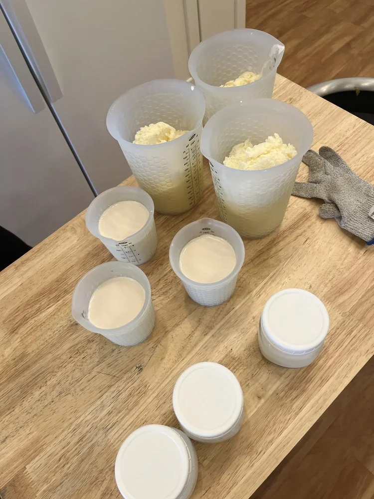 Taste Buds Kitchen image
