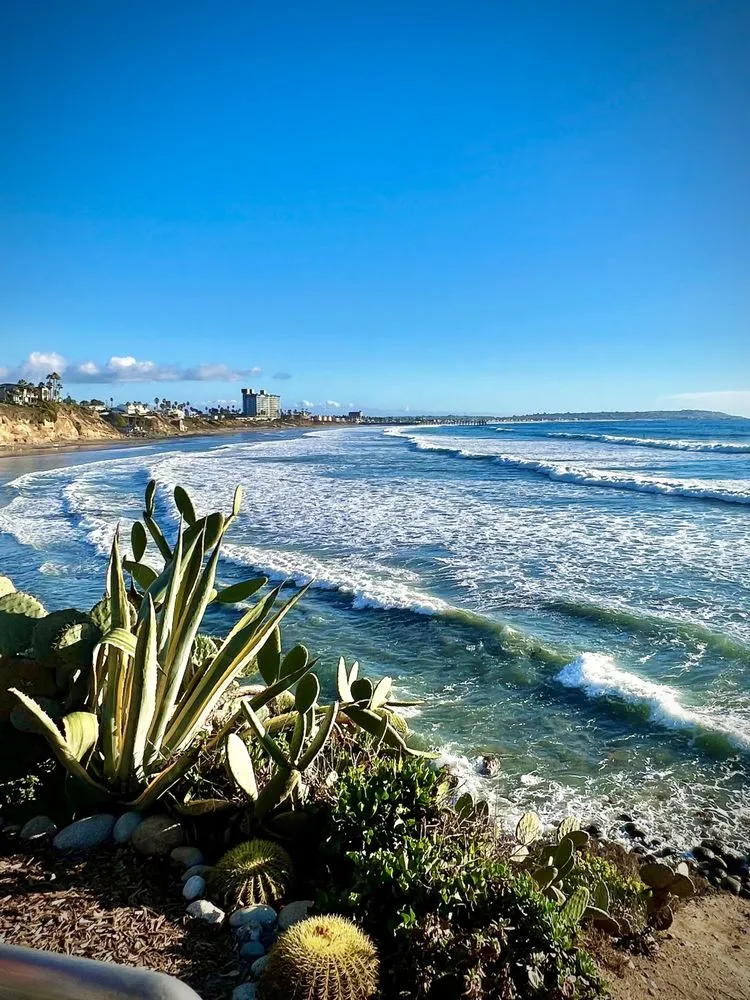 Another Side Of San Diego Tours image