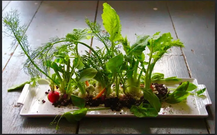 The Farm Cooking School image