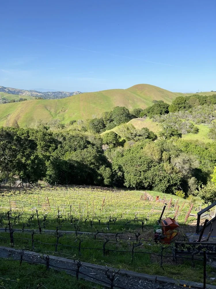 Captain Vineyards image