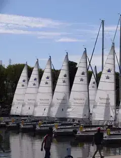 Spinnaker Sailing