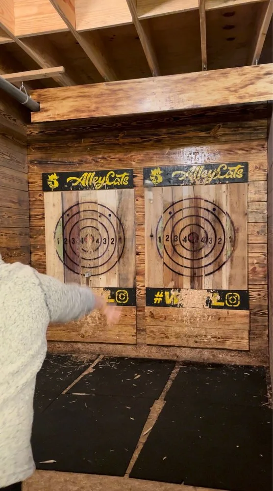 Alley Cats Axe Throwing Company image