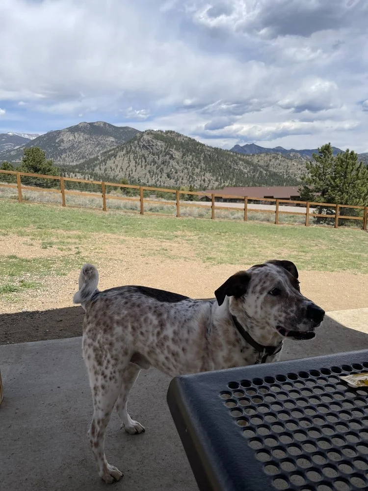 Estes Park Center YMCA image