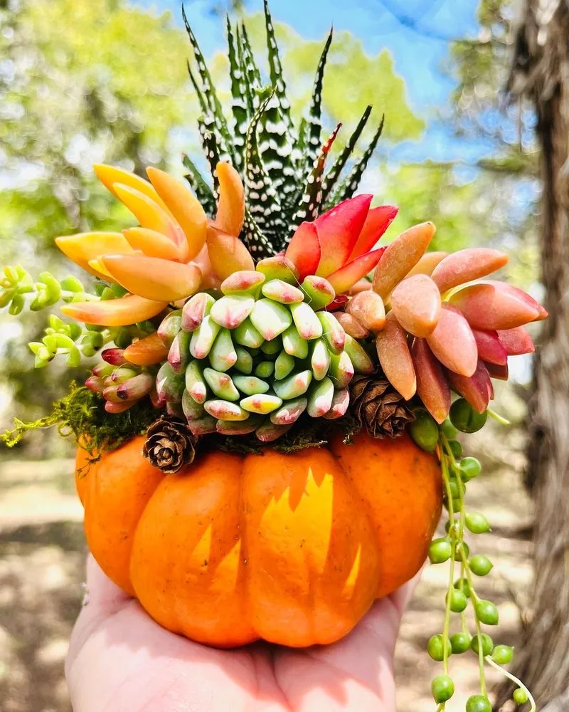 Rooted Treasures Succulents image