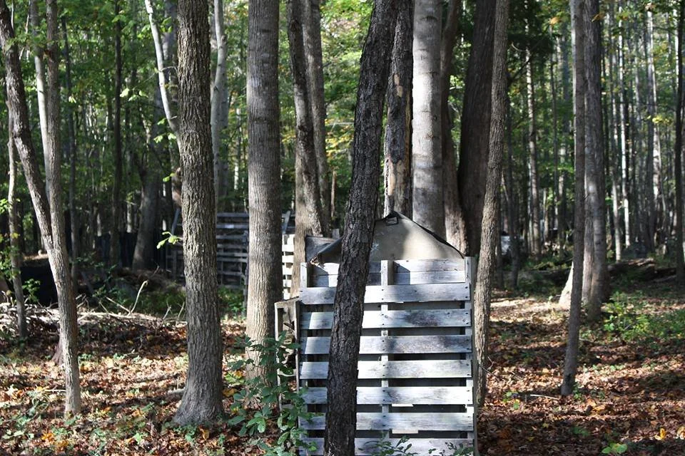 The Swamp Fun Park image