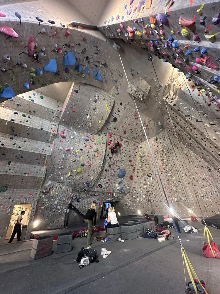 Red Rock Climbing Center image