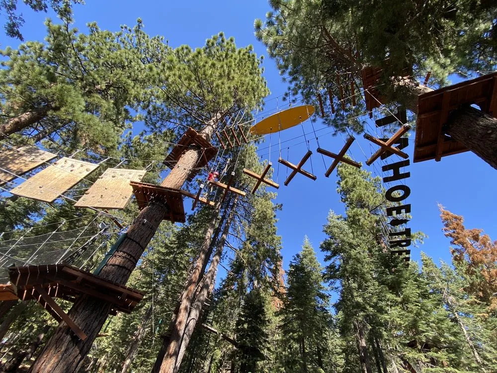 Tahoe Vista Treetop Adventure Park image