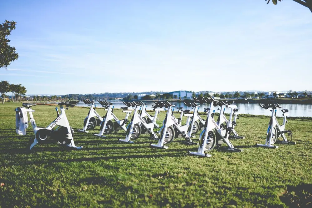 Spin & Go image