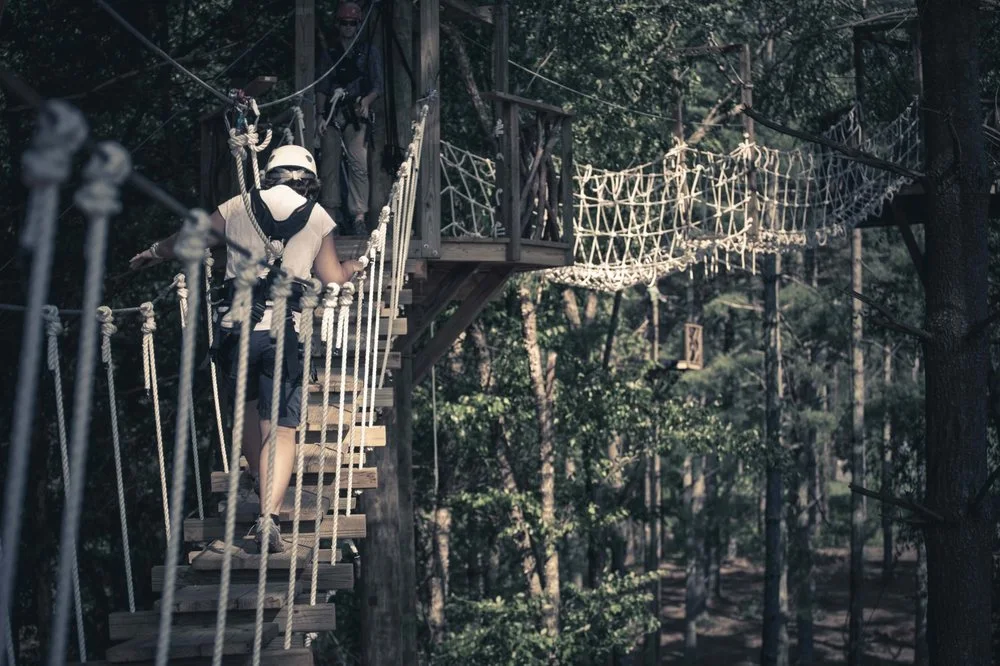 Beanstalk Zip Lines image