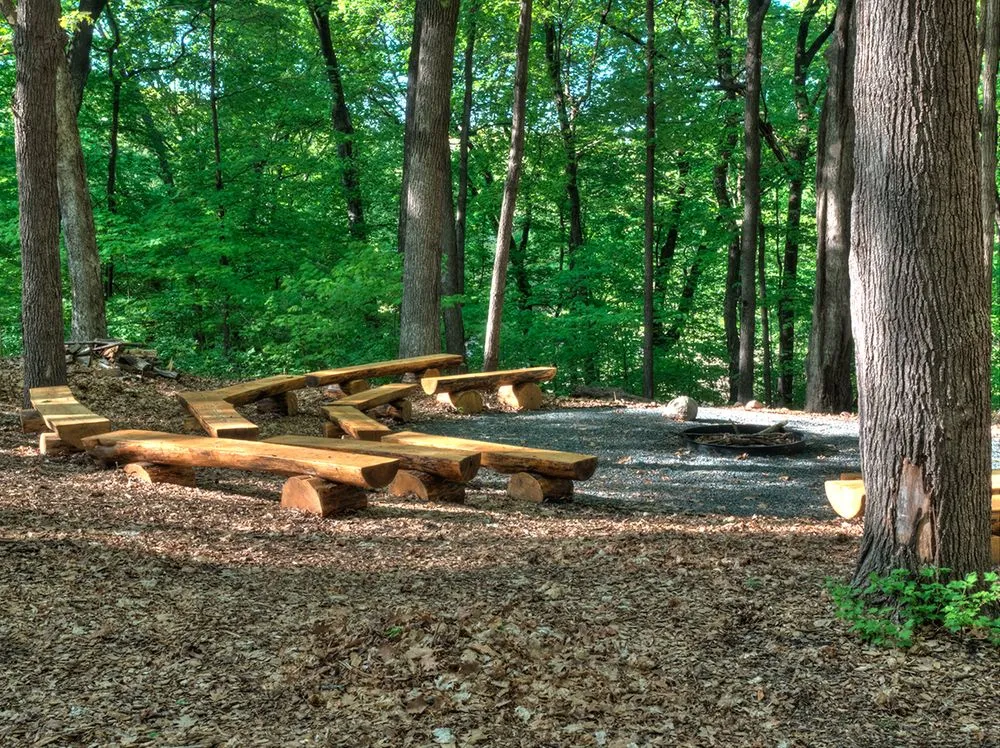 Camp Fire Minnesota image