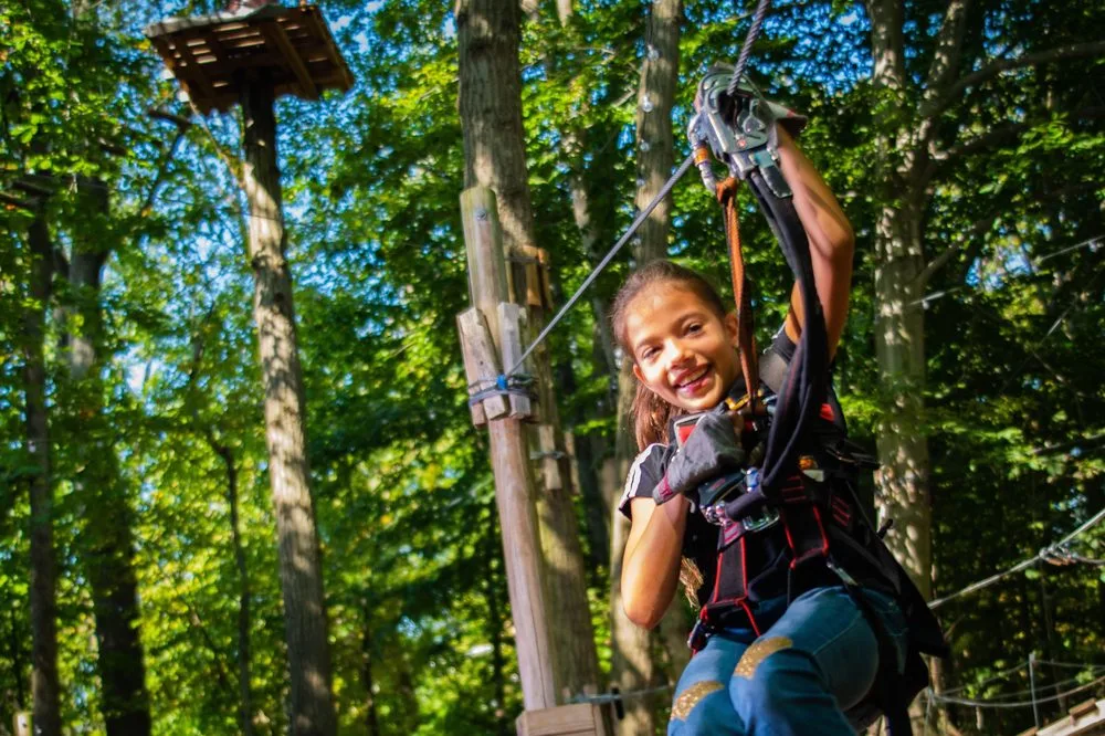 The Adventure Park at The Discovery Museum logo