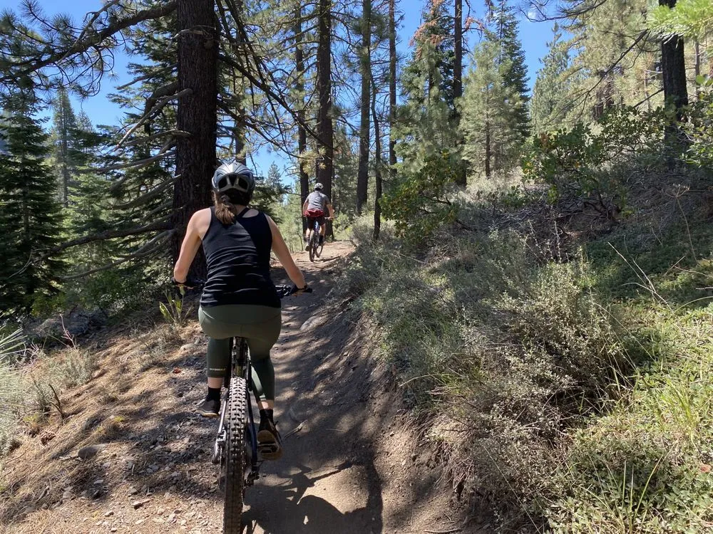 Dirt Gypsy Adventures image