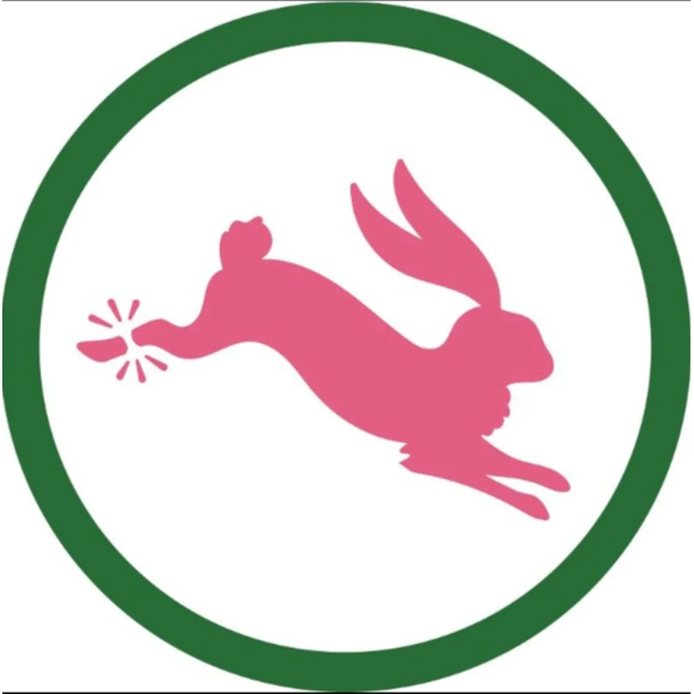 Lucky Shots Pickleball Club logo