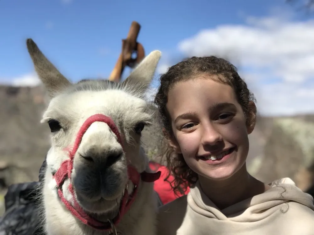 Wild Earth Llama Adventures image