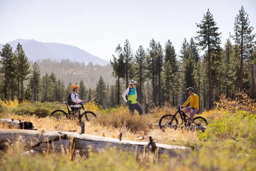 A Singletrack Mind image