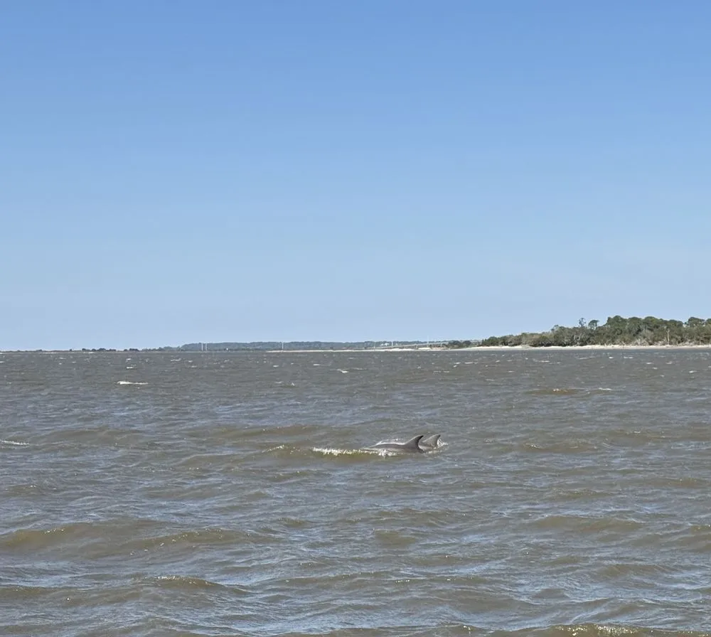 Jekyll Island Boat Tours image