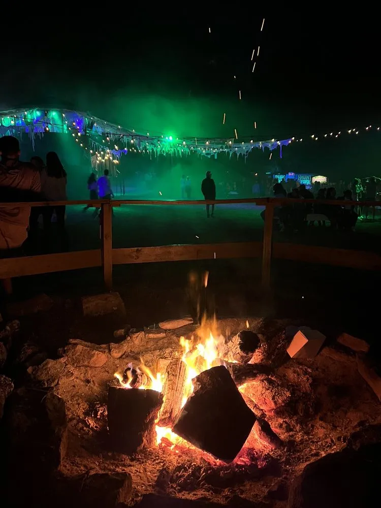 Haunted Forest at Panic Point image