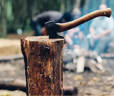 Axecessive Force - Mobile Axe Throwing logo