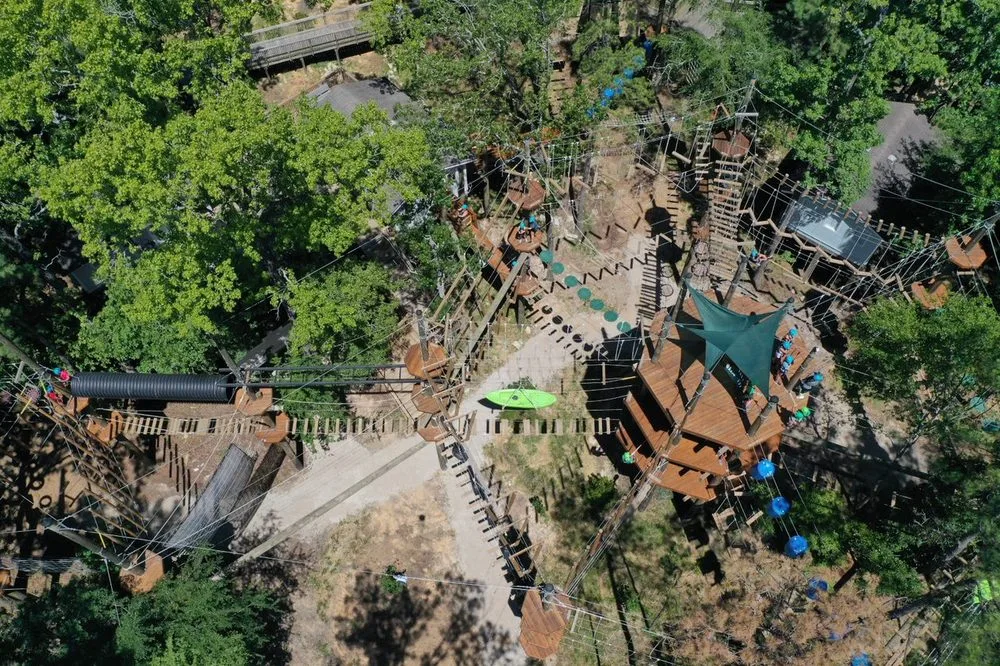 Texas TreeVentures image
