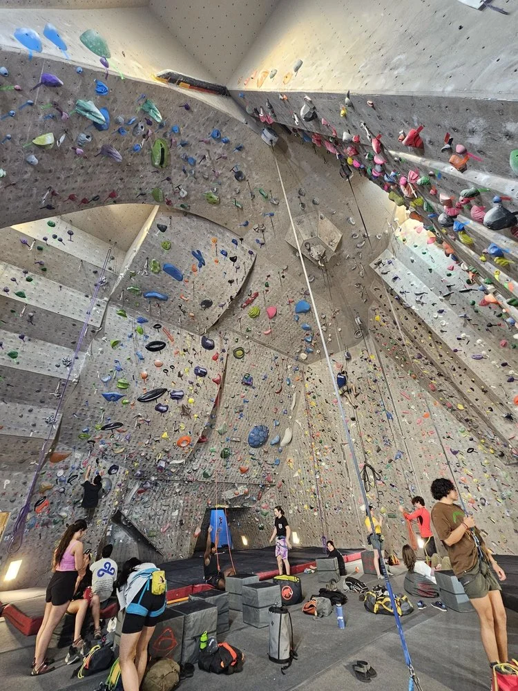 Red Rock Climbing Center image