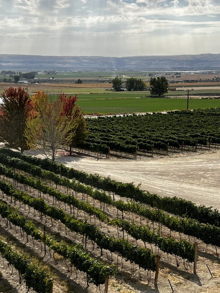Idaho Wine Tours image