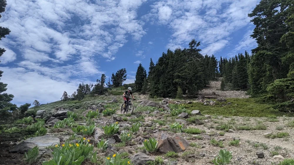 Dirt Gypsy Adventures image