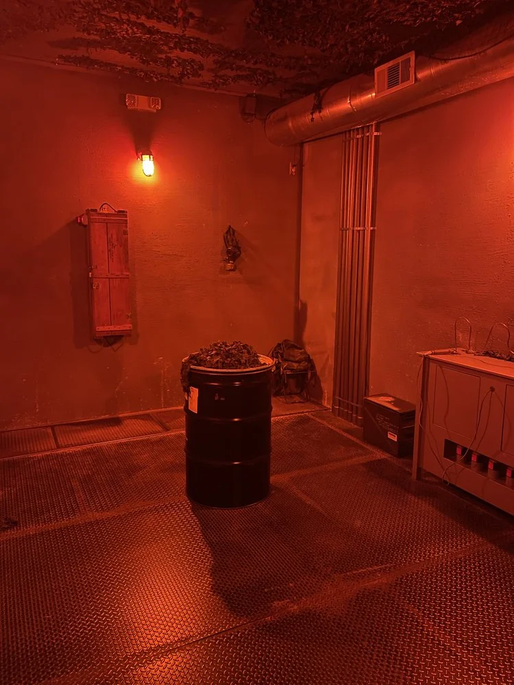 PanIQ Escape Room Houston image