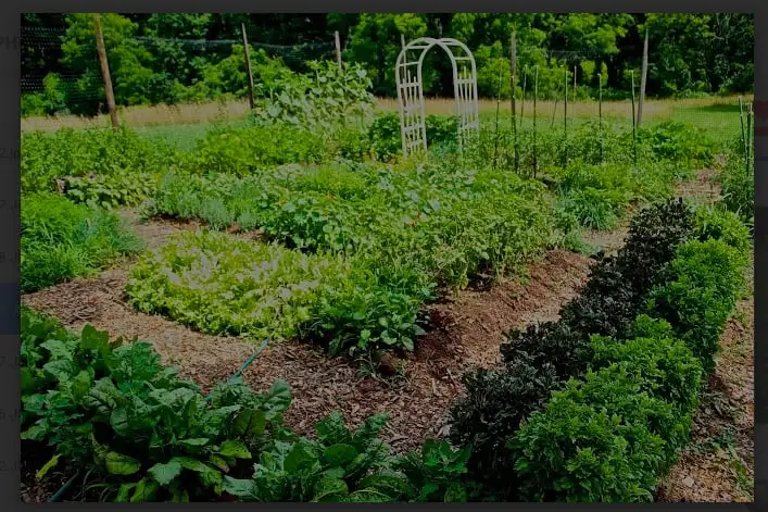 The Farm Cooking School image