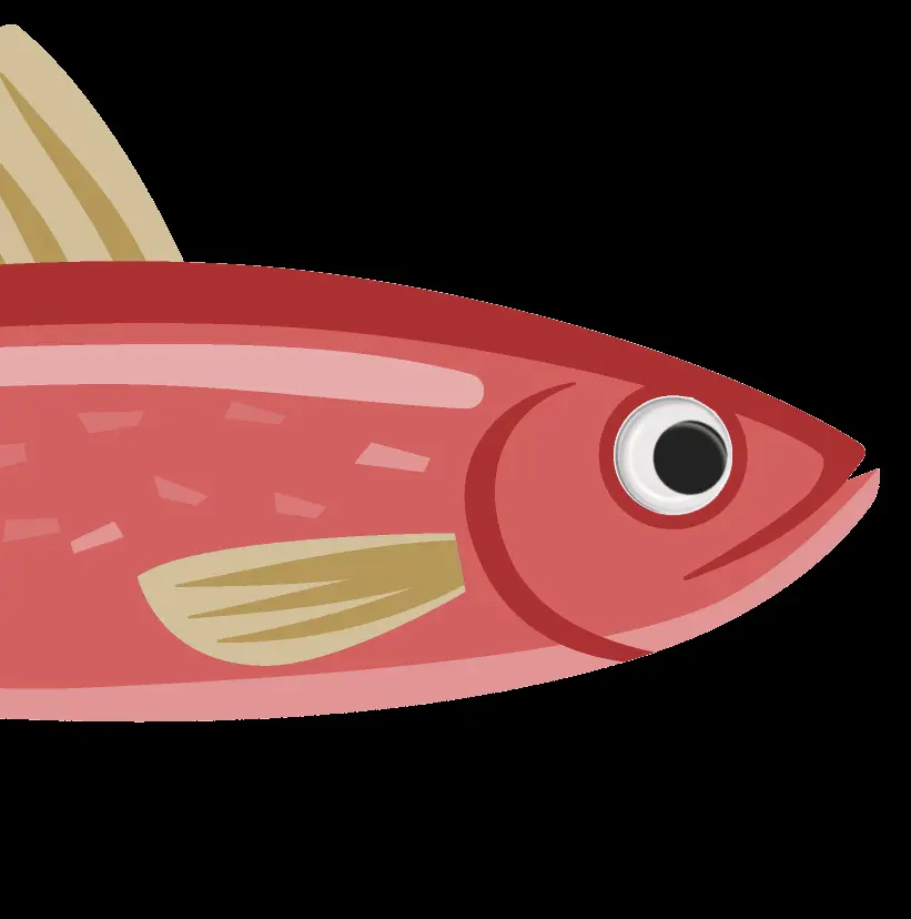 Red Herring Treasure Hunts image