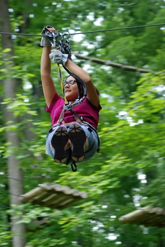 The Adventure Park At Heritage Museums & Gardens image