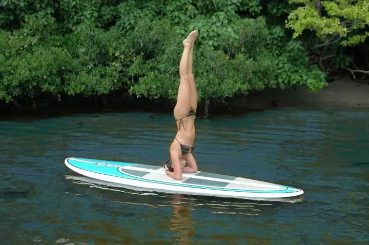 Florida Paddle Board Lessons logo