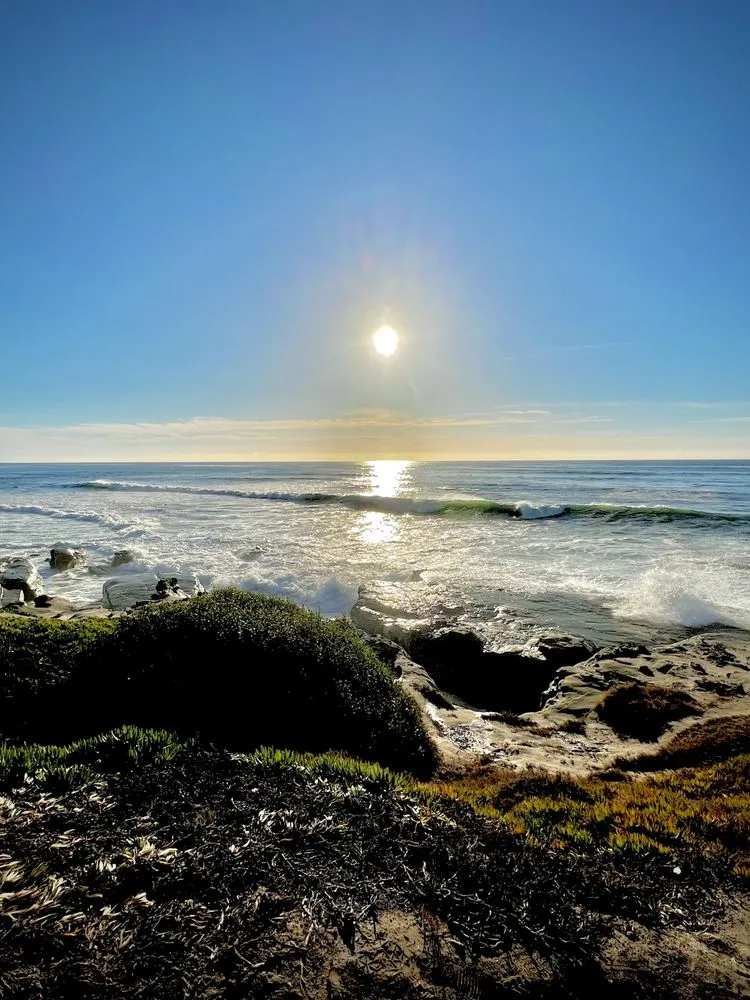 Another Side Of San Diego Tours image