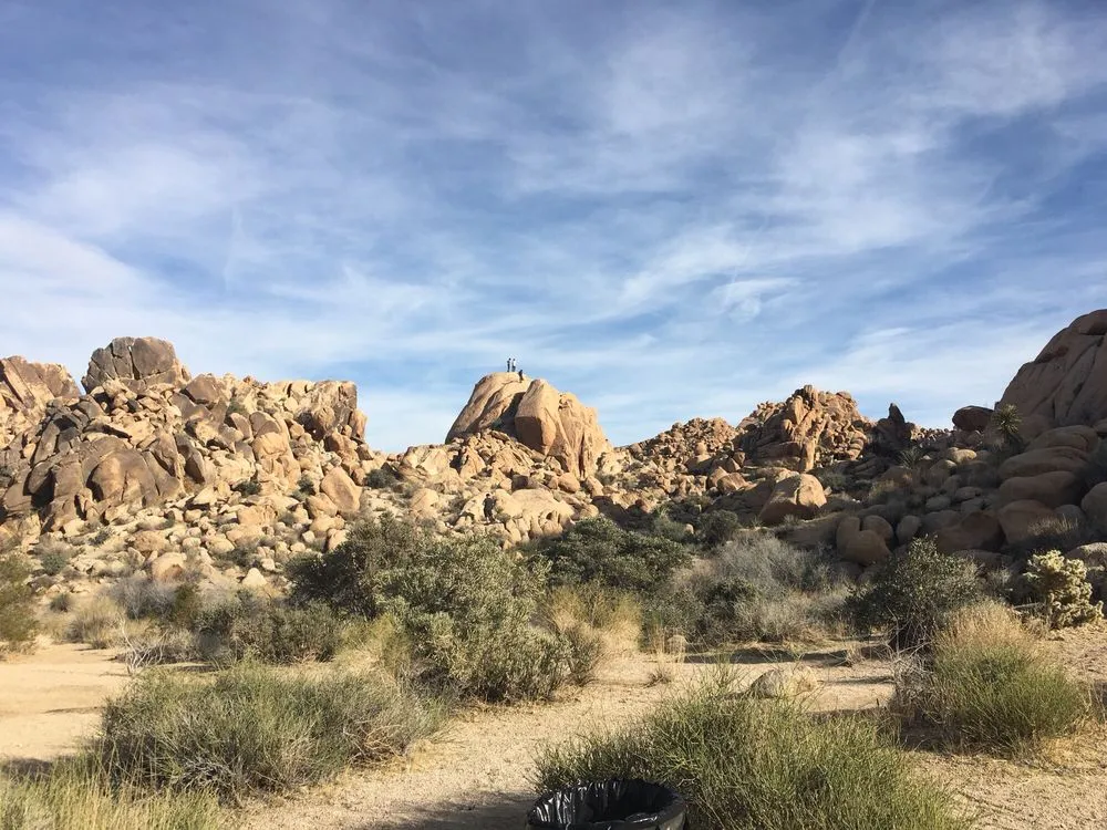 Joshua Tree's Uprising Adventure Guides, Inc image