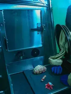 Wild Goose Escape Rooms - Huntington Beach