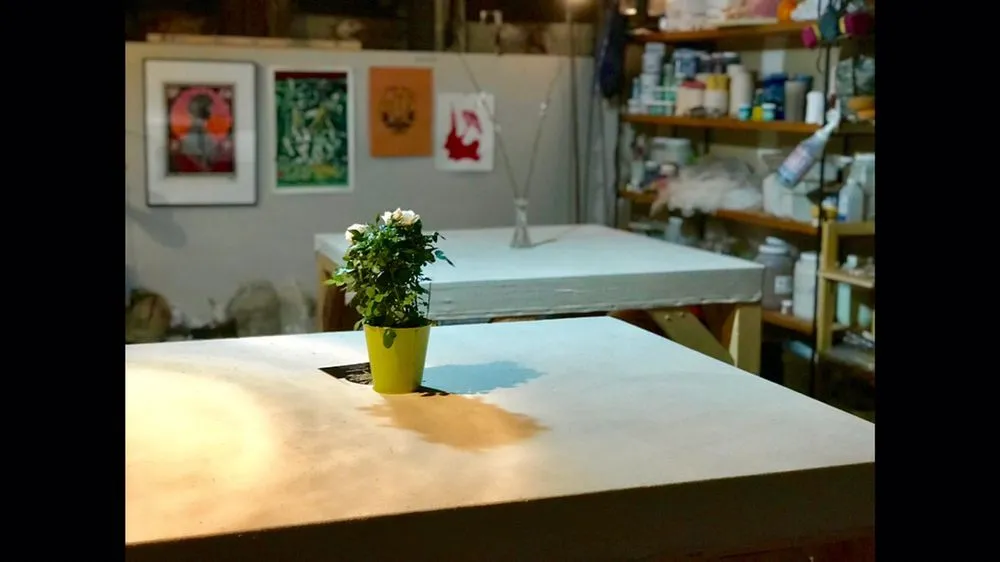 X?X Gallery and Art Studio logo
