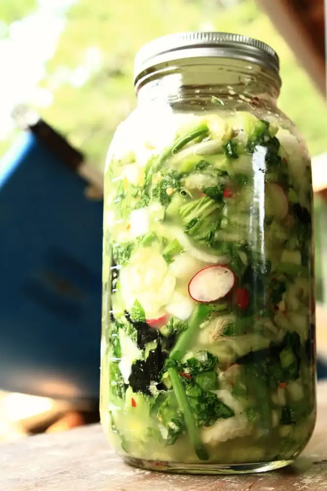 Rooted Nutrition image